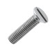 Screw DIN 963 M6x14 4.8 galvanized